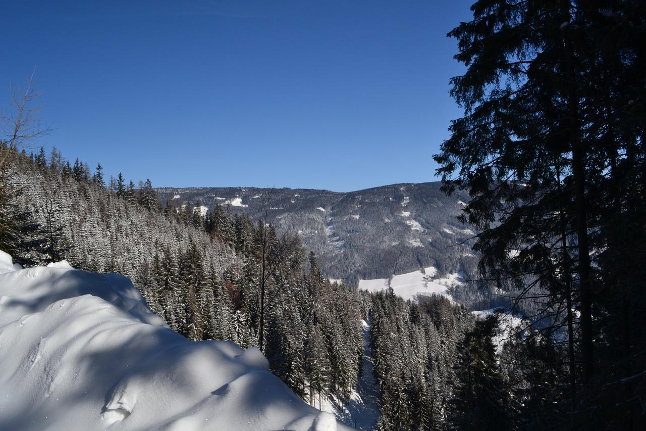 Gasthof Oberer Gesslbauer Stanz Im Murztal Exterior foto